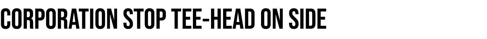 CORPORATION STOP TEE-HEAD ON SIDE