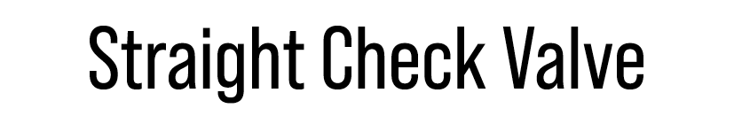 Straight Check Valve