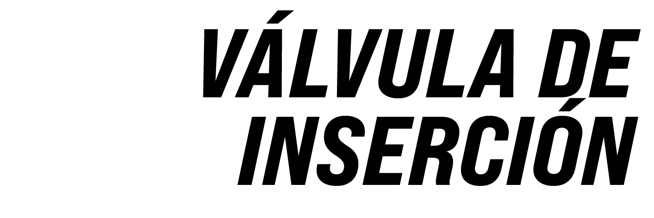 V lvula de Inserci n