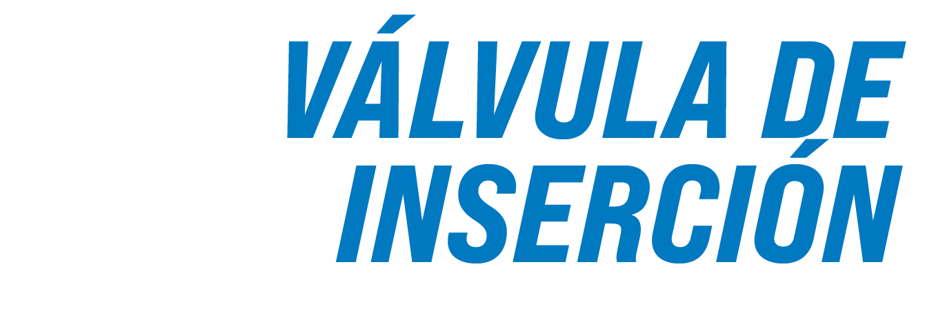 V lvula de Inserci n