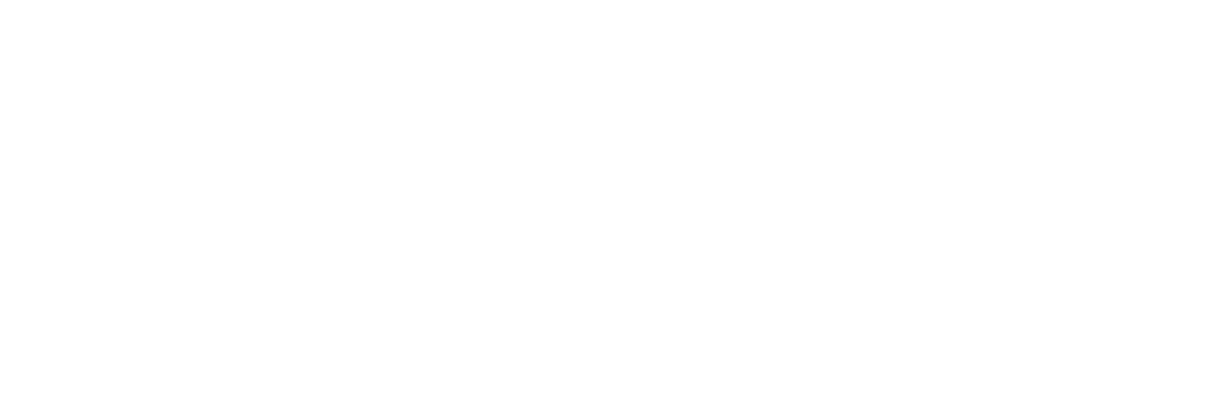 V lvula anti-fraude