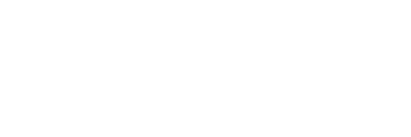 V lvula Anti-retorno